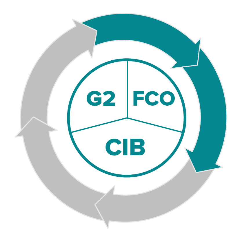 G2 FCO CIB Certified